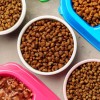 pet care